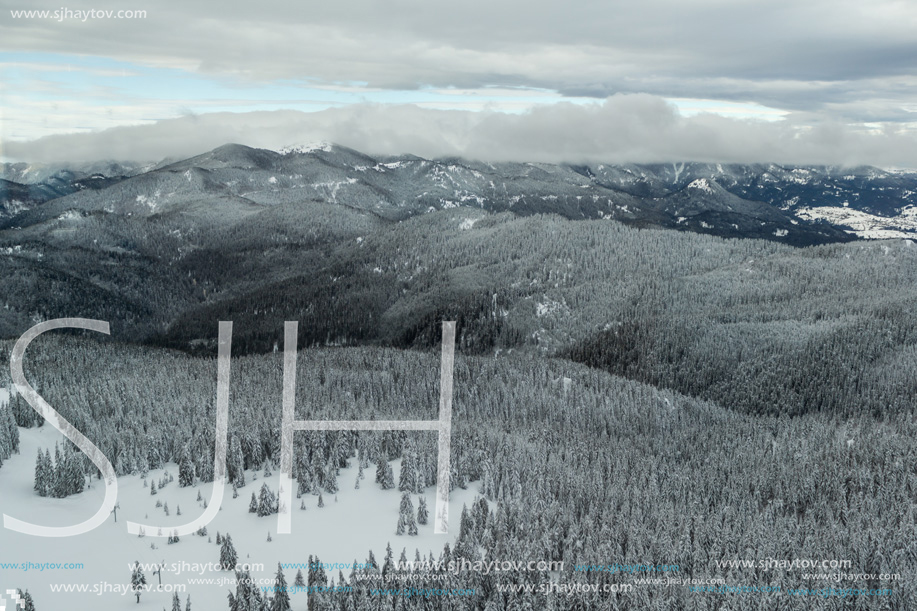 Amazing winter landscape of Rhodope Mountains near Pamporovo resort from Snezhanka tower, Smolyan Region, Bulgaria