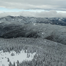 Amazing winter landscape of Rhodope Mountains near Pamporovo resort from Snezhanka tower, Smolyan Region, Bulgaria