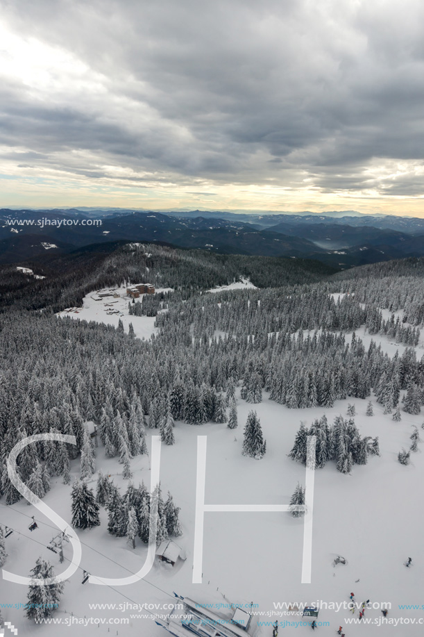 Amazing winter landscape of Rhodope Mountains near Pamporovo resort from Snezhanka tower, Smolyan Region, Bulgaria