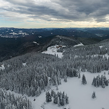 Amazing winter landscape of Rhodope Mountains near Pamporovo resort from Snezhanka tower, Smolyan Region, Bulgaria