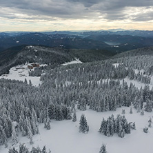 Amazing winter landscape of Rhodope Mountains near Pamporovo resort from Snezhanka tower, Smolyan Region, Bulgaria