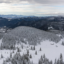 Amazing winter landscape of Rhodope Mountains near Pamporovo resort from Snezhanka tower, Smolyan Region, Bulgaria