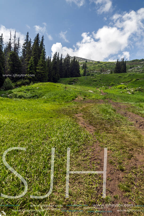 Amazing Landscape with green hills at Vitosha Mountain, Sofia City Region, Bulgaria