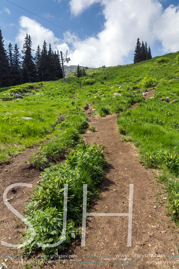 Amazing Landscape with green hills at Vitosha Mountain, Sofia City Region, Bulgaria