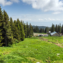 Amazing Landscape with green hills at Vitosha Mountain, Sofia City Region, Bulgaria