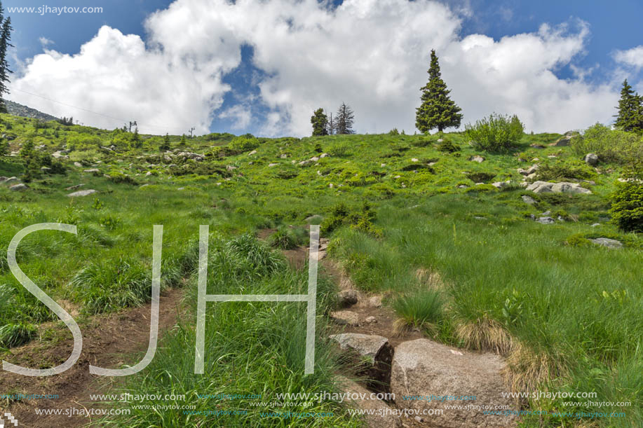 Amazing Landscape with green hills at Vitosha Mountain, Sofia City Region, Bulgaria