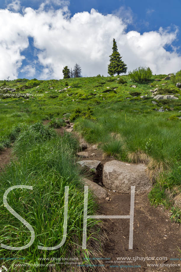 Amazing Landscape with green hills at Vitosha Mountain, Sofia City Region, Bulgaria