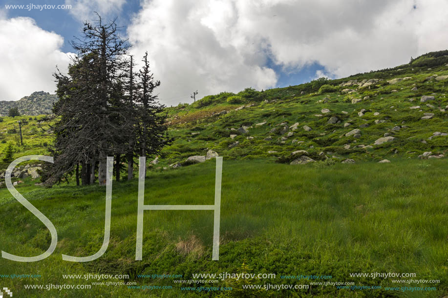 Amazing Landscape with green hills at Vitosha Mountain, Sofia City Region, Bulgaria