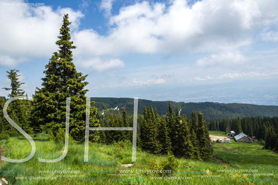 Amazing Landscape with green hills at Vitosha Mountain, Sofia City Region, Bulgaria