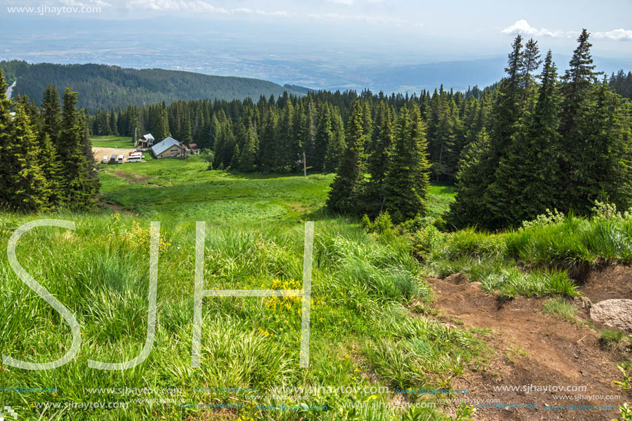 Amazing Landscape with green hills at Vitosha Mountain, Sofia City Region, Bulgaria