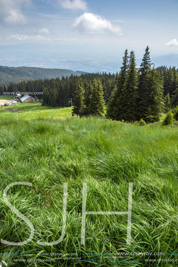 Amazing Landscape with green hills at Vitosha Mountain, Sofia City Region, Bulgaria