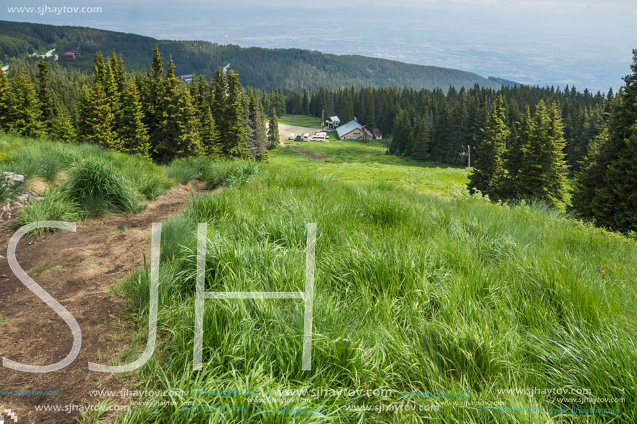 Amazing Landscape with green hills at Vitosha Mountain, Sofia City Region, Bulgaria