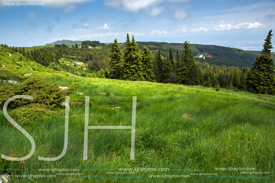 Amazing Landscape with green hills at Vitosha Mountain, Sofia City Region, Bulgaria