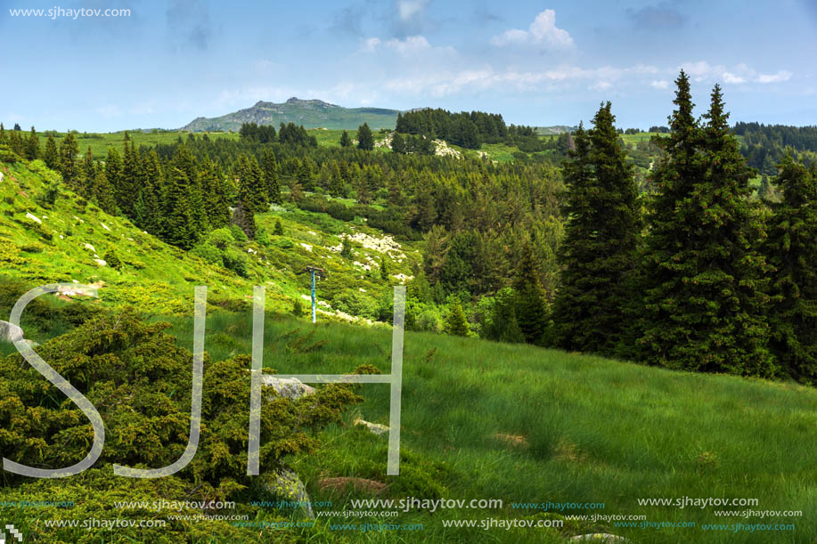 Amazing Landscape with green hills at Vitosha Mountain, Sofia City Region, Bulgaria