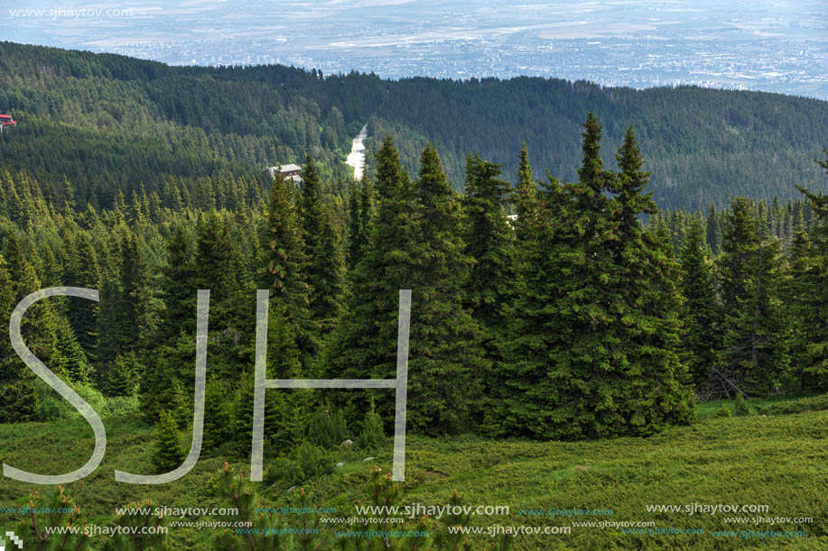 Amazing Landscape with green hills at Vitosha Mountain, Sofia City Region, Bulgaria