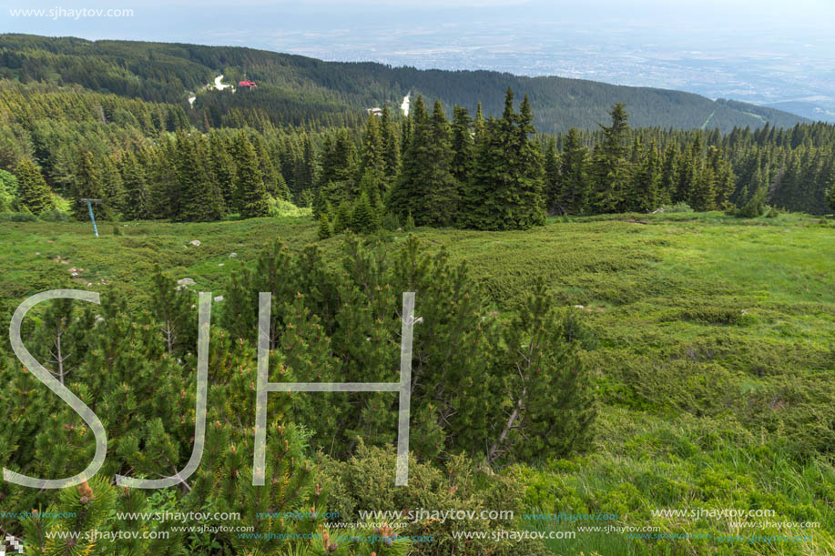 Amazing Landscape with green hills at Vitosha Mountain, Sofia City Region, Bulgaria