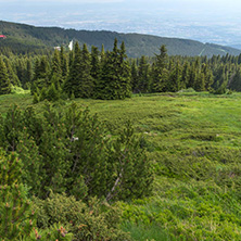 Amazing Landscape with green hills at Vitosha Mountain, Sofia City Region, Bulgaria