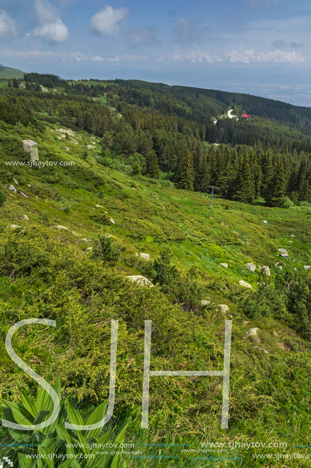 Amazing Landscape with green hills at Vitosha Mountain, Sofia City Region, Bulgaria