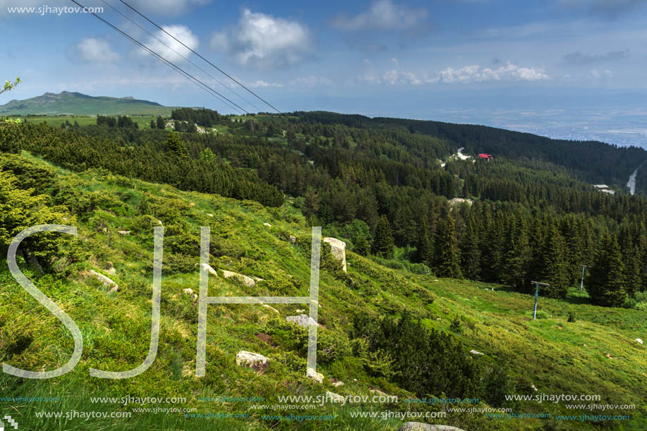 Amazing Landscape with green hills at Vitosha Mountain, Sofia City Region, Bulgaria