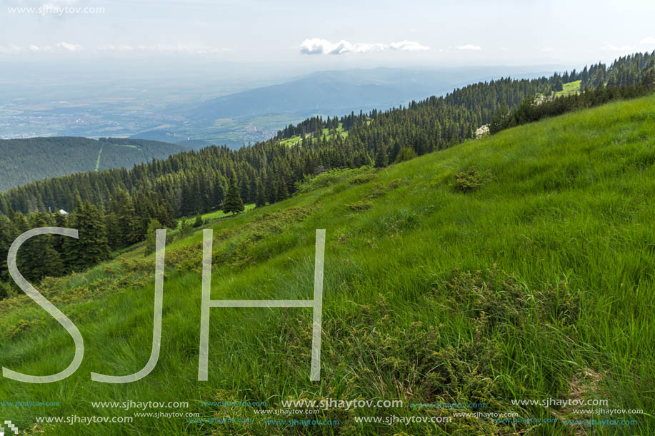 Amazing Landscape with green hills at Vitosha Mountain, Sofia City Region, Bulgaria