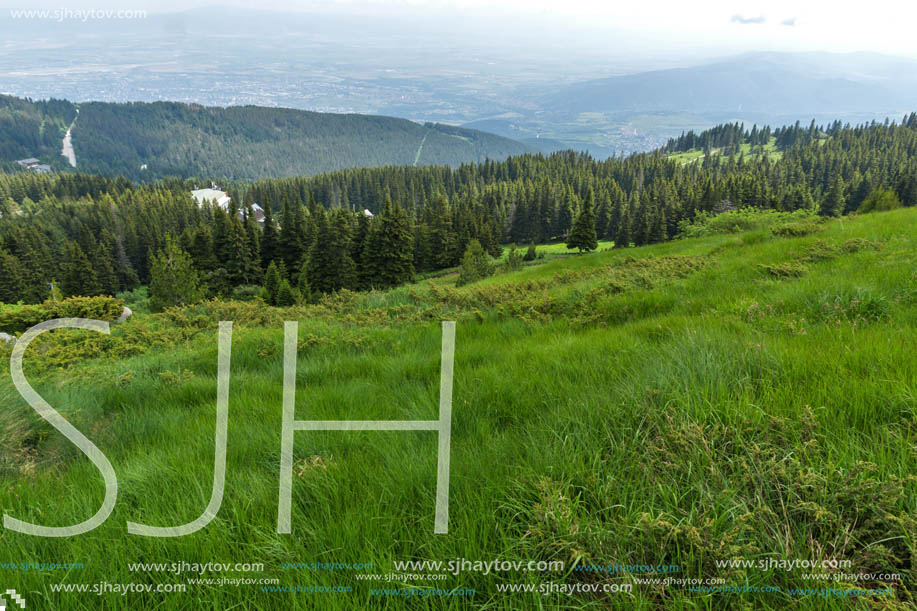 Amazing Landscape with green hills at Vitosha Mountain, Sofia City Region, Bulgaria