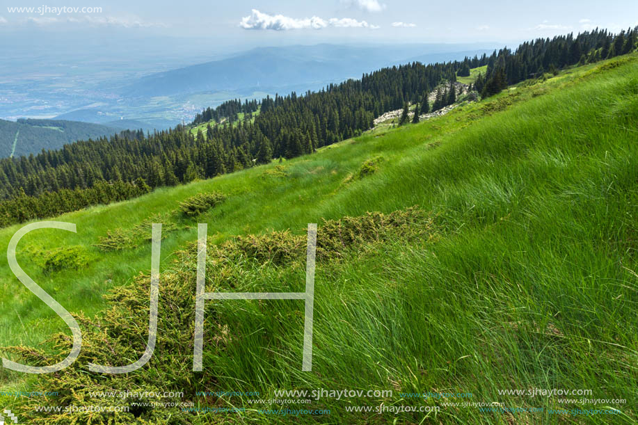 Amazing Landscape with green hills at Vitosha Mountain, Sofia City Region, Bulgaria