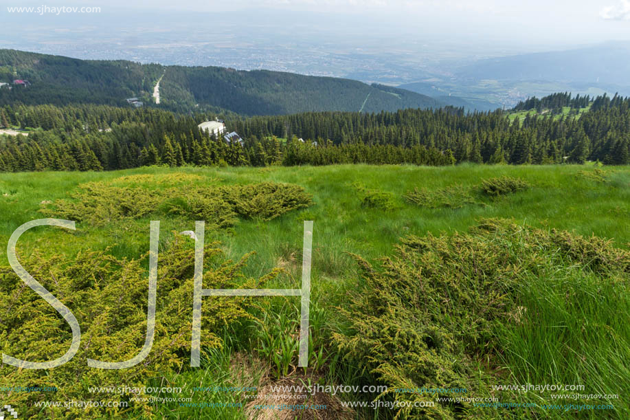 Amazing Landscape with green hills at Vitosha Mountain, Sofia City Region, Bulgaria