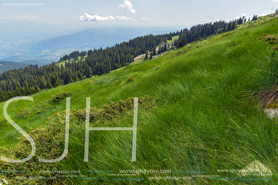 Amazing Landscape with green hills at Vitosha Mountain, Sofia City Region, Bulgaria