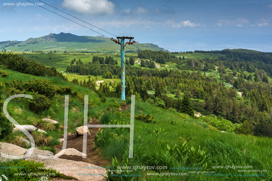 Panorama with green hills at Vitosha Mountain, Sofia City Region, Bulgaria