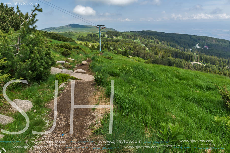 Panorama with green hills at Vitosha Mountain, Sofia City Region, Bulgaria