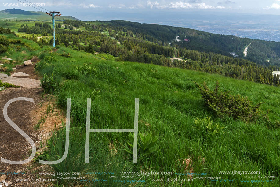 Panorama with green hills at Vitosha Mountain, Sofia City Region, Bulgaria