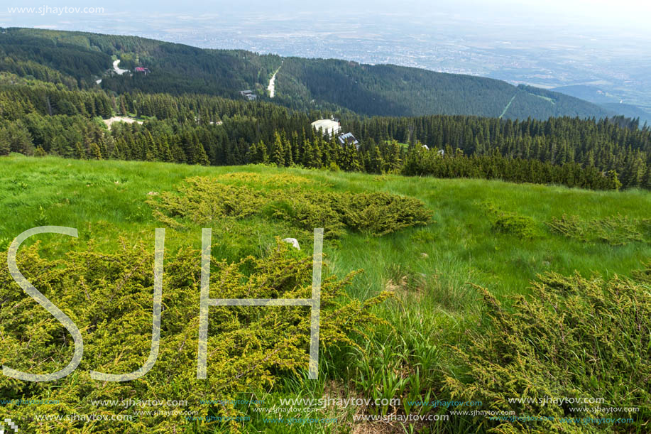 Panorama with green hills at Vitosha Mountain, Sofia City Region, Bulgaria