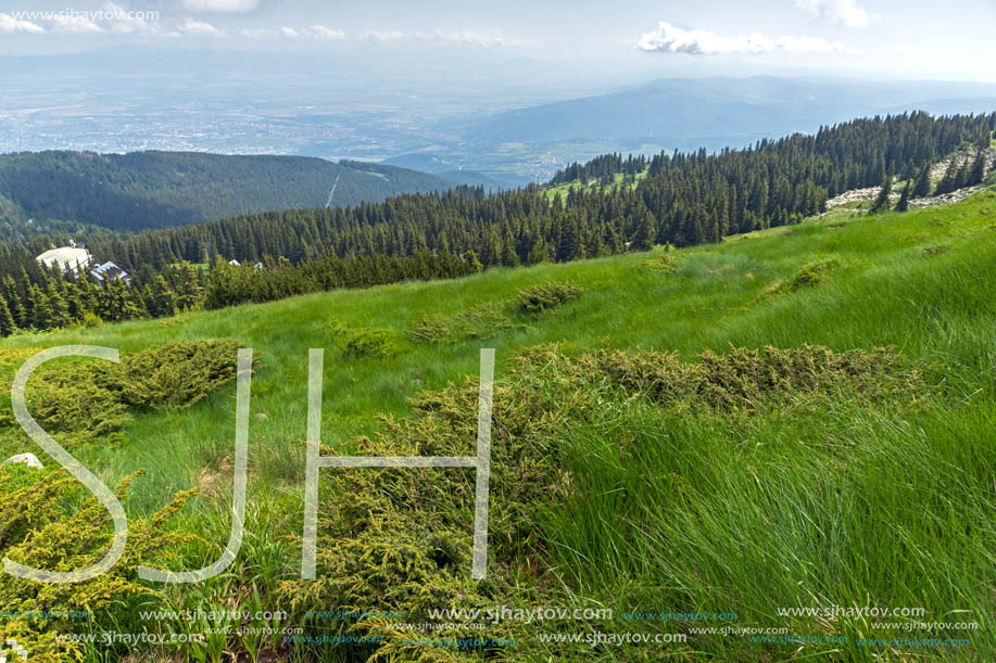 Panorama with green hills at Vitosha Mountain, Sofia City Region, Bulgaria