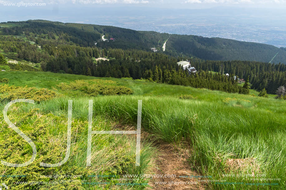 Panorama with green hills at Vitosha Mountain, Sofia City Region, Bulgaria