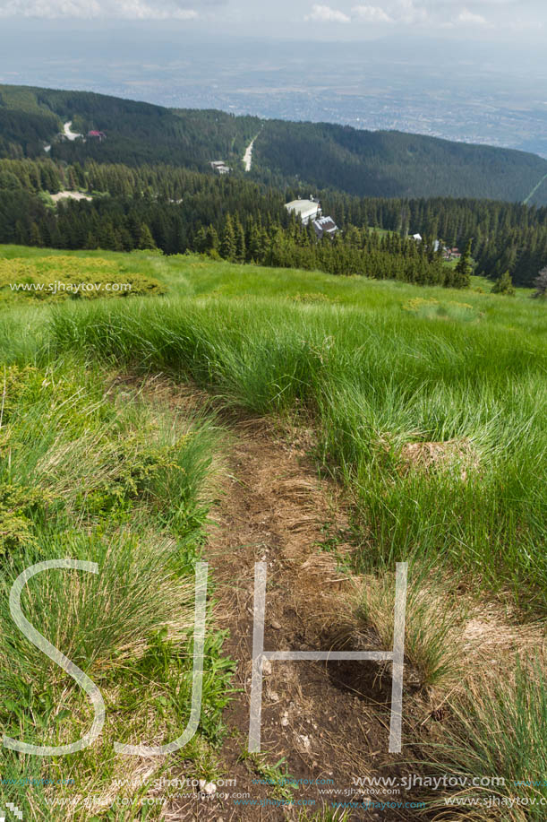 Panorama with green hills at Vitosha Mountain, Sofia City Region, Bulgaria