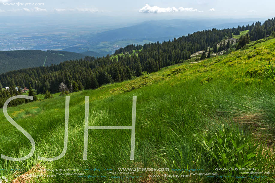 Panorama with green hills at Vitosha Mountain, Sofia City Region, Bulgaria