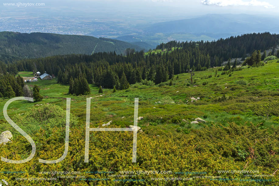 Panorama with green hills at Vitosha Mountain, Sofia City Region, Bulgaria