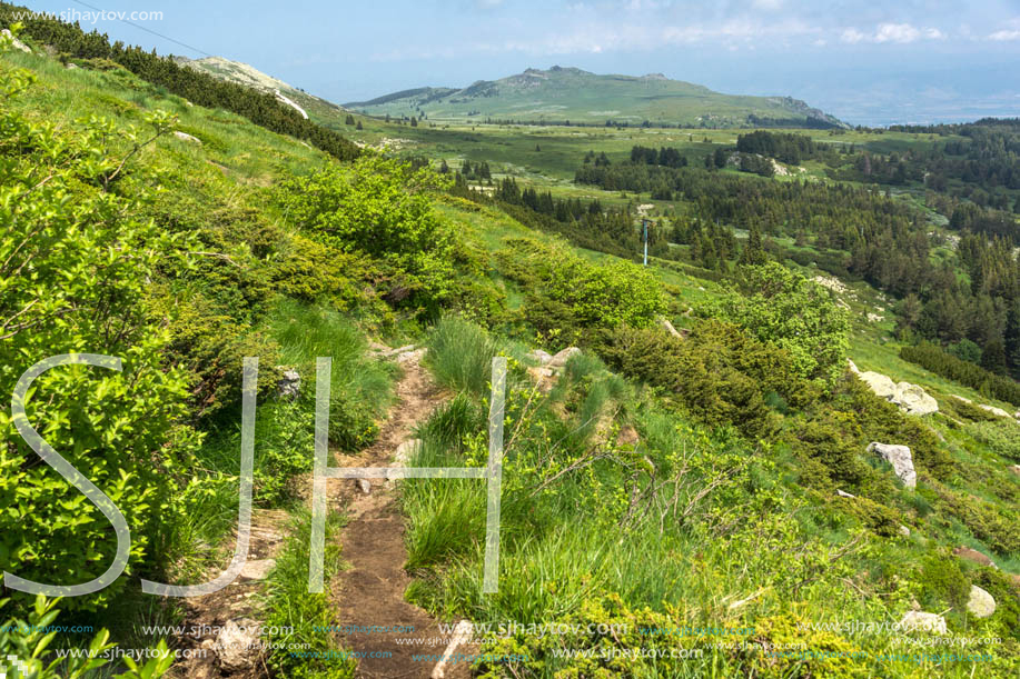 Panorama with green hills at Vitosha Mountain, Sofia City Region, Bulgaria