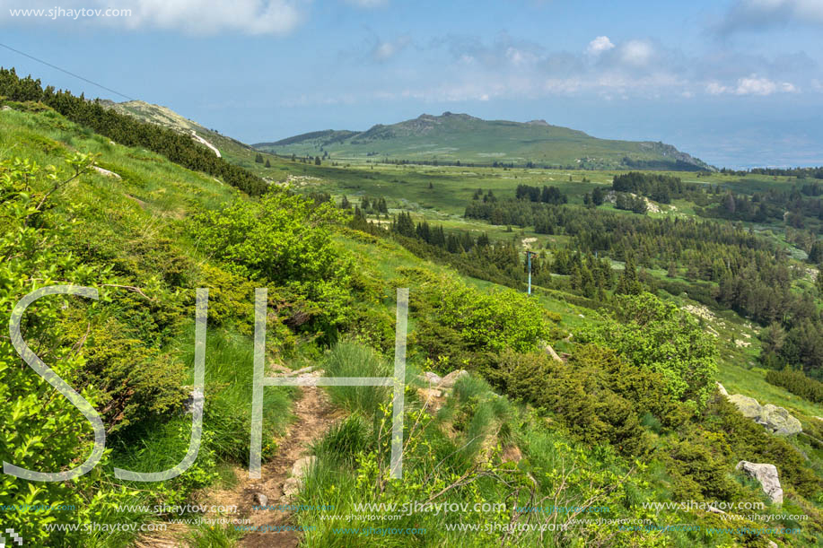 Panorama with green hills at Vitosha Mountain, Sofia City Region, Bulgaria