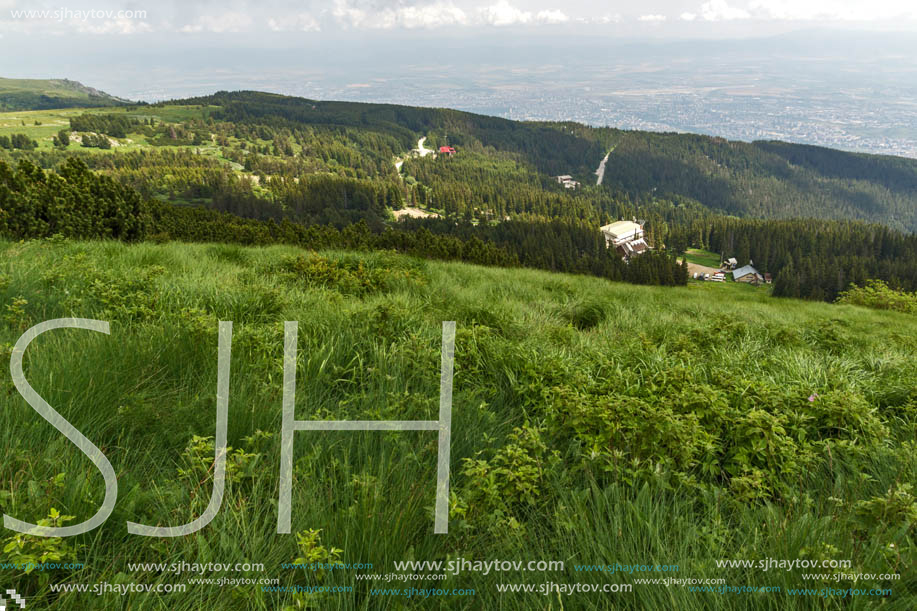 Panorama with green hills at Vitosha Mountain, Sofia City Region, Bulgaria