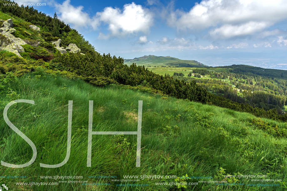 Panorama with green hills at Vitosha Mountain, Sofia City Region, Bulgaria