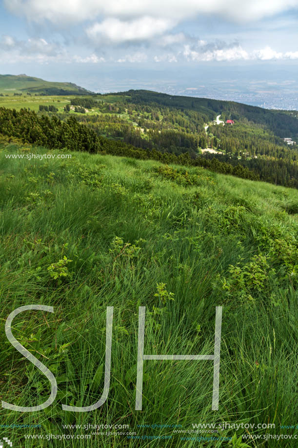 Panorama with green hills at Vitosha Mountain, Sofia City Region, Bulgaria