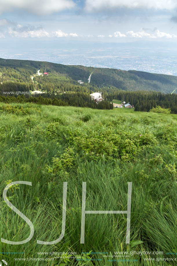 Panorama with green hills at Vitosha Mountain, Sofia City Region, Bulgaria