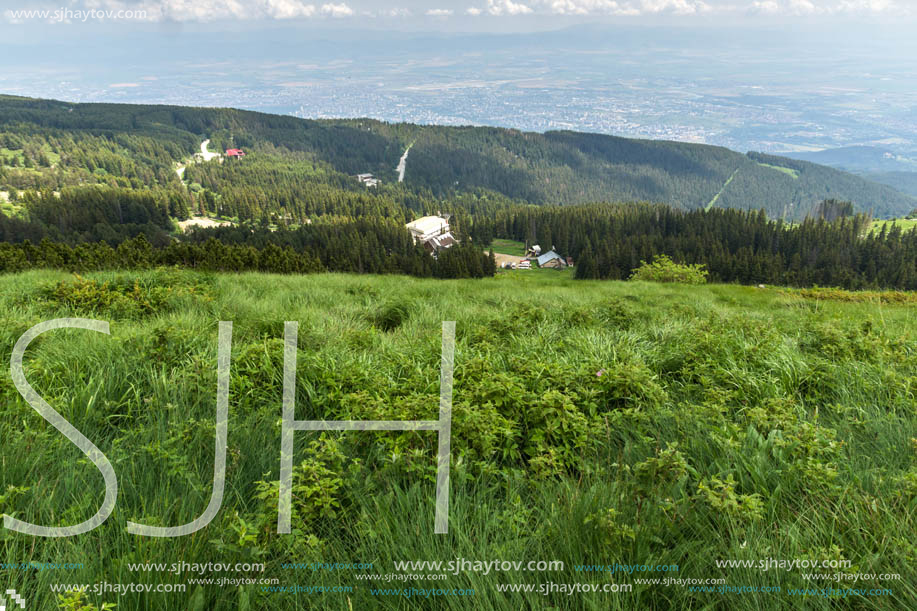 Panorama with green hills at Vitosha Mountain, Sofia City Region, Bulgaria