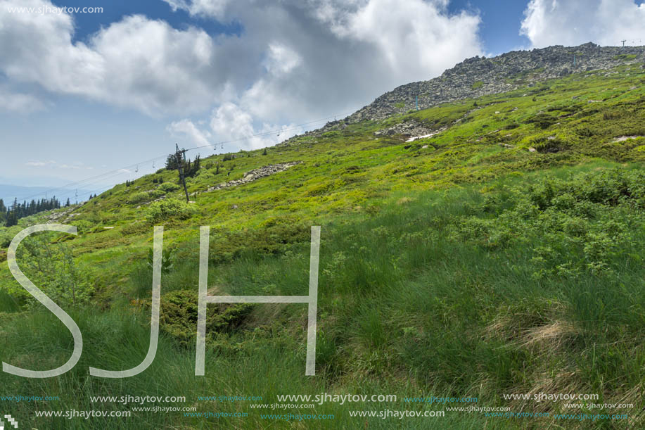 Panorama with green hills at Vitosha Mountain, Sofia City Region, Bulgaria