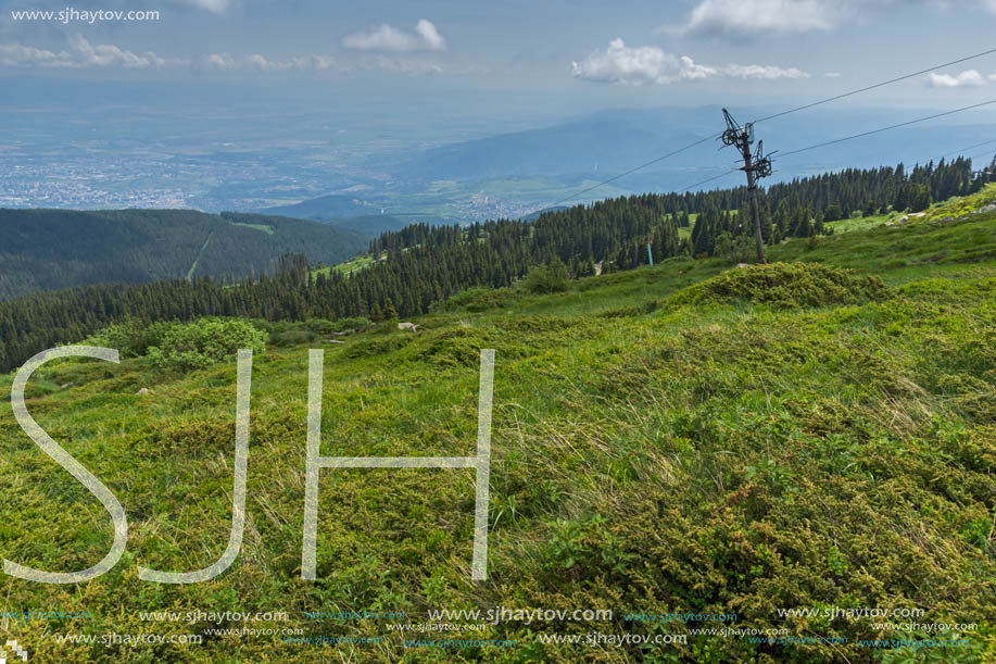 Panorama with green hills at Vitosha Mountain, Sofia City Region, Bulgaria