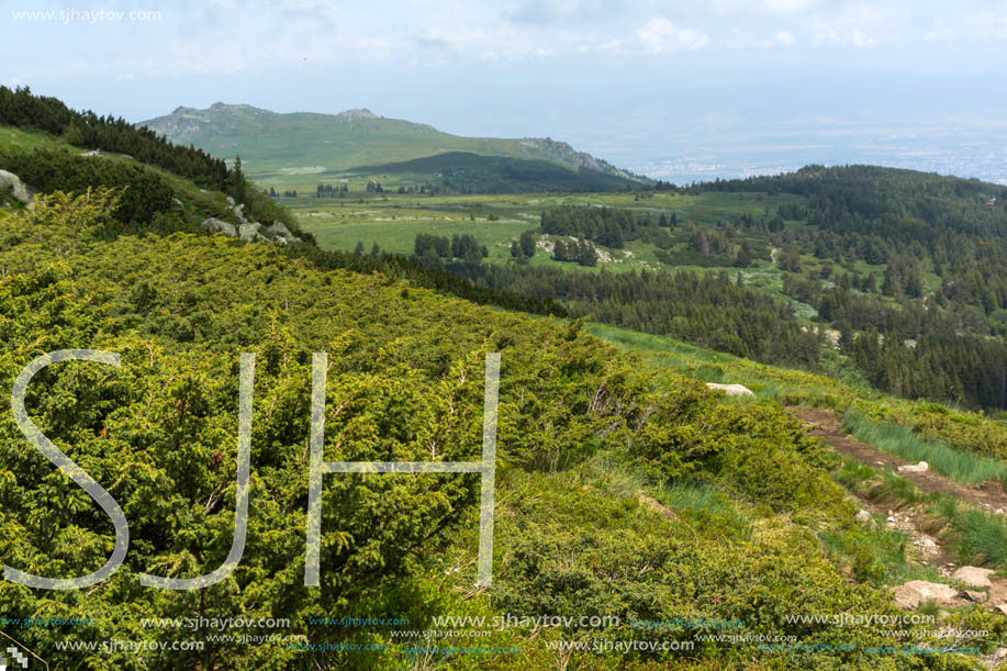 Panorama with green hills at Vitosha Mountain, Sofia City Region, Bulgaria