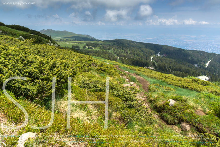 Panorama with green hills at Vitosha Mountain, Sofia City Region, Bulgaria