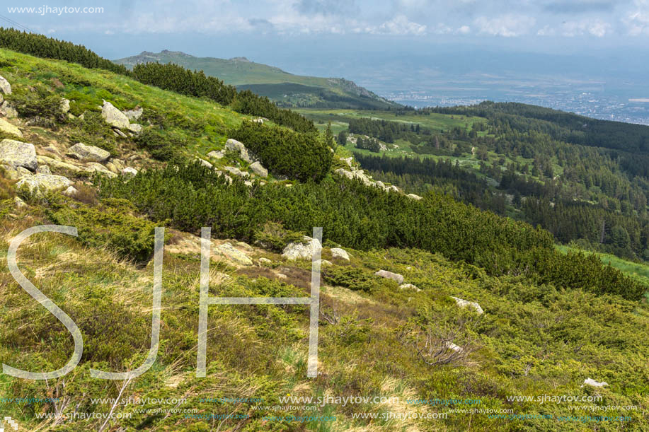 Panorama with green hills at Vitosha Mountain, Sofia City Region, Bulgaria