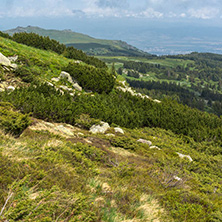 Panorama with green hills at Vitosha Mountain, Sofia City Region, Bulgaria